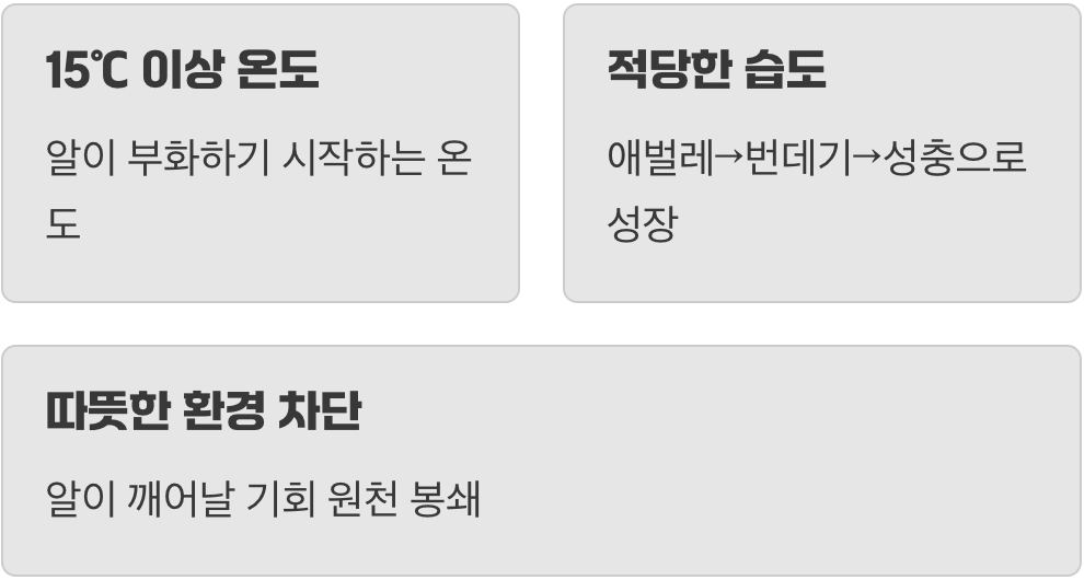 따뜻한 우리 집, 벌레들의 천국