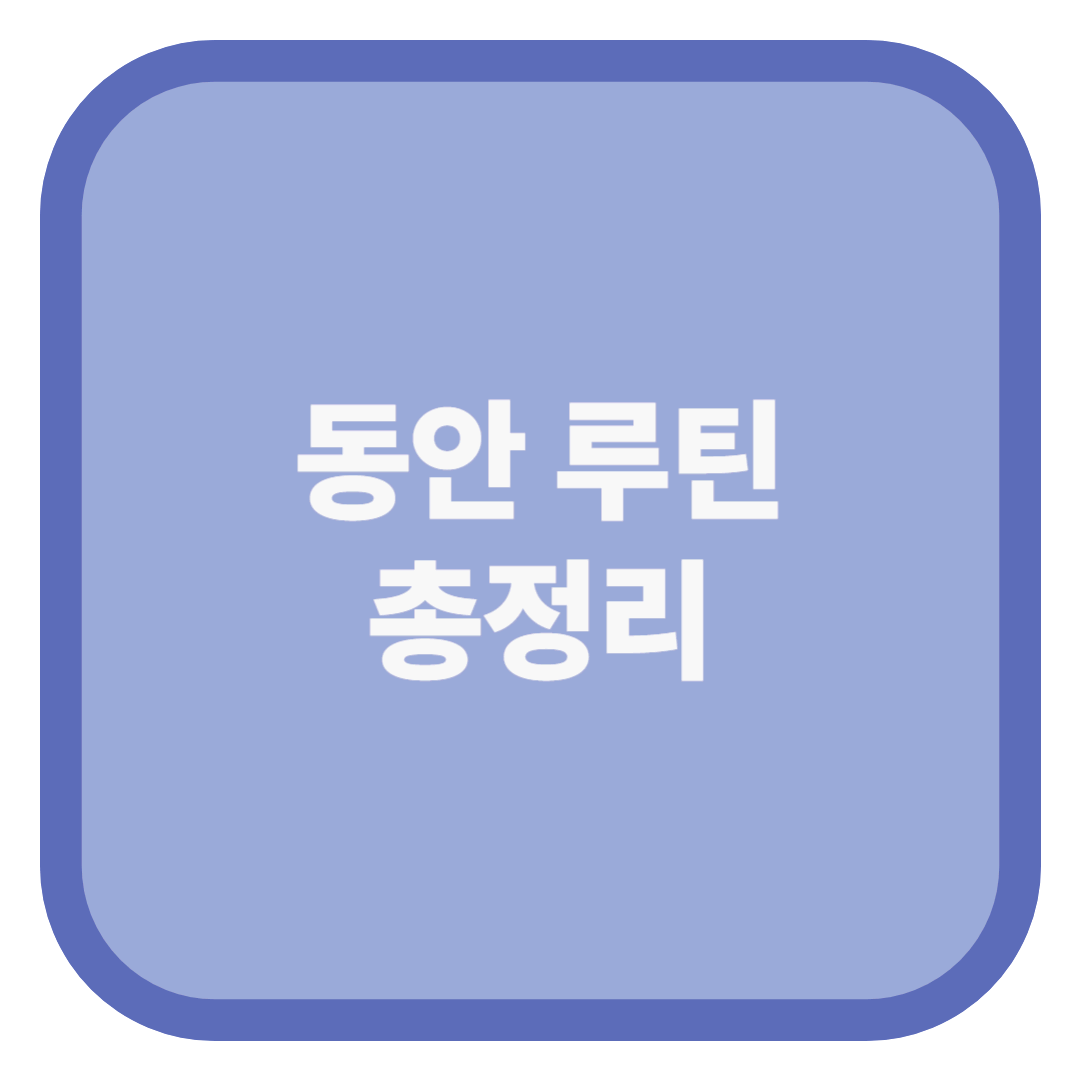 동안 루틴 총정리