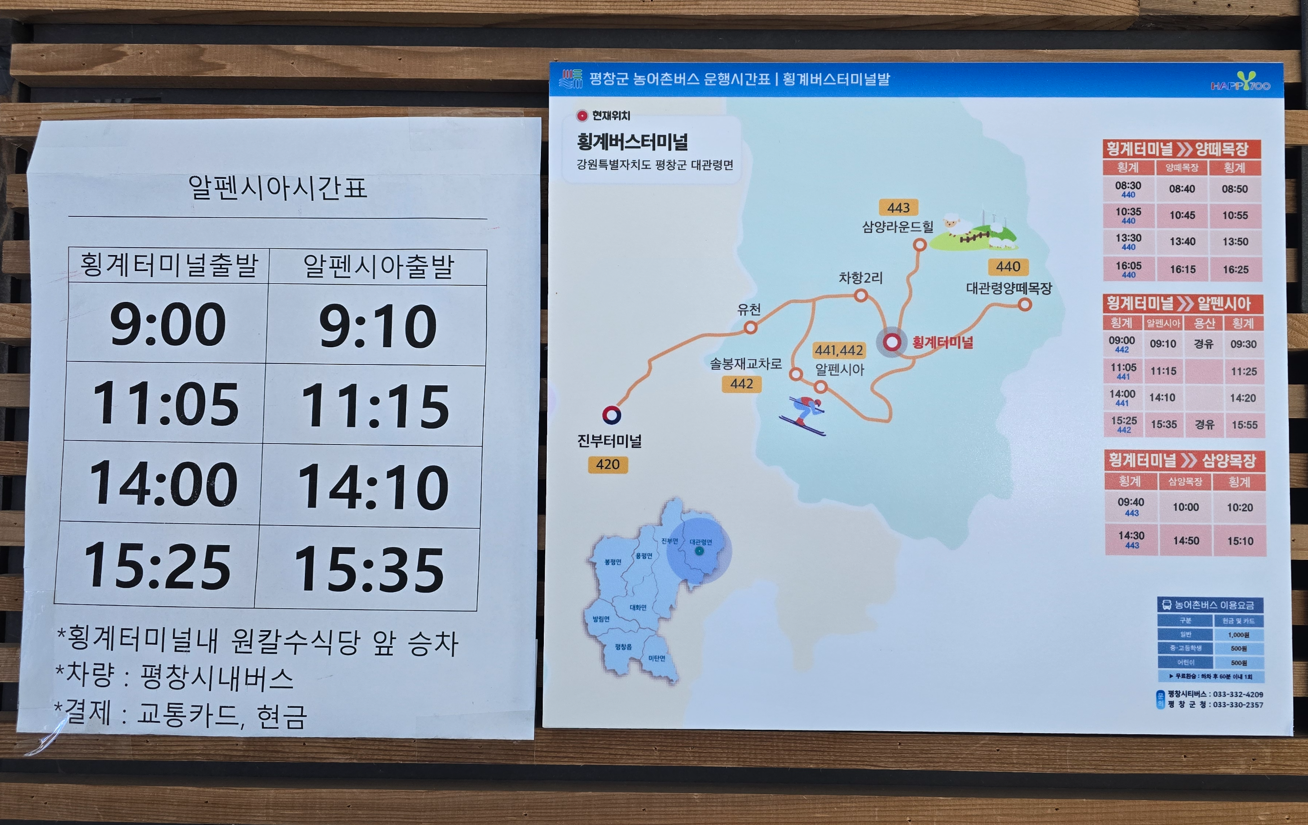 횡계-주변 명소 버스 시간표