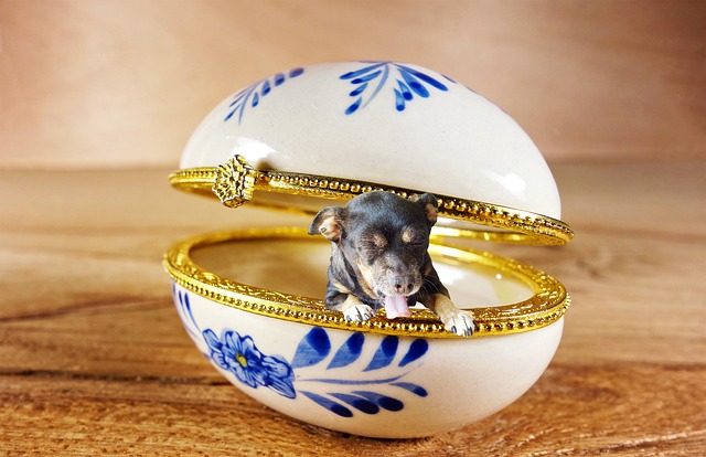 업비트 가상자산