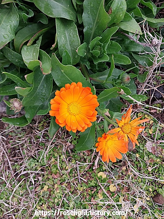 교회 유치부 기도문