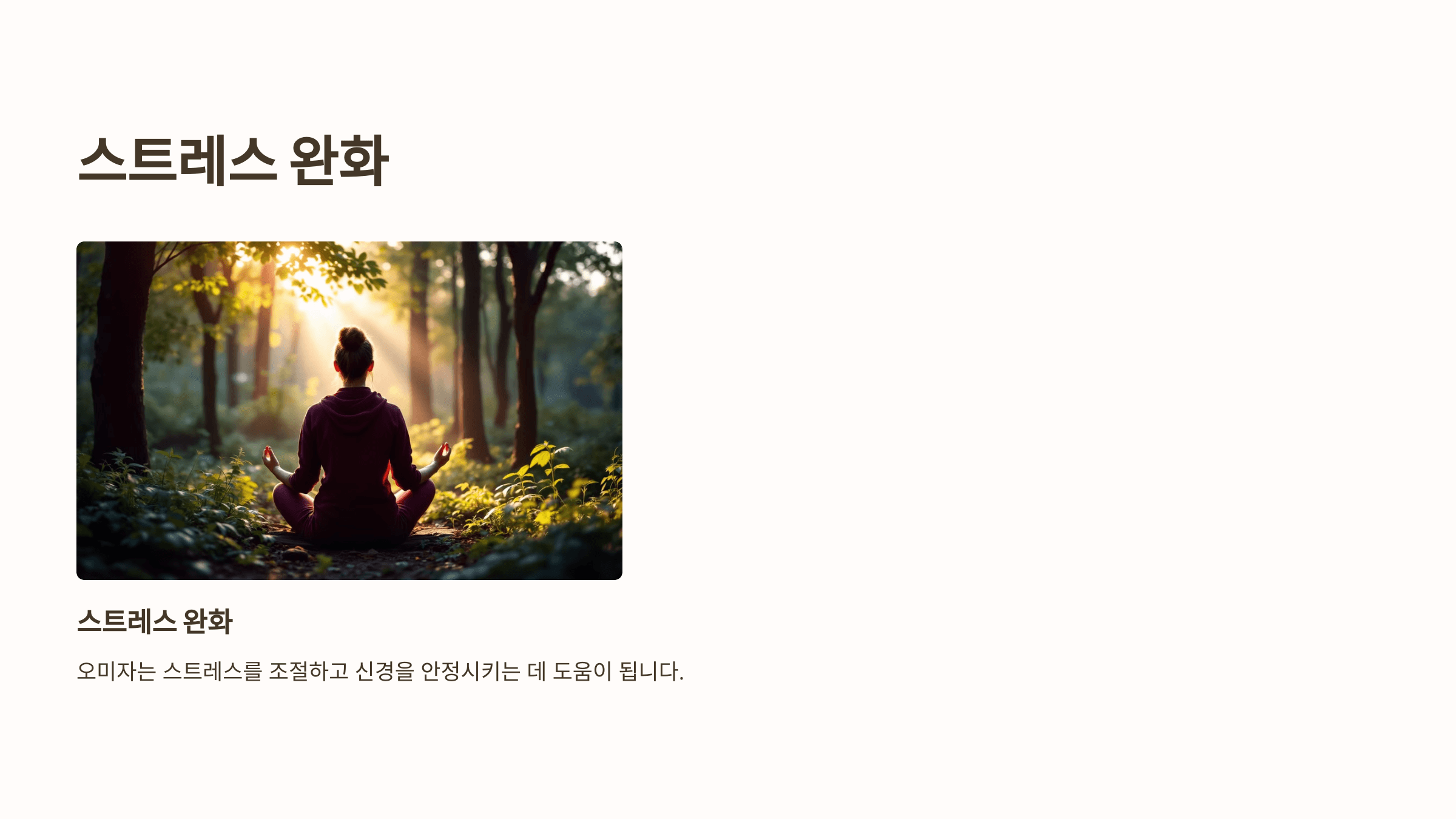 오미자 사진입니다.