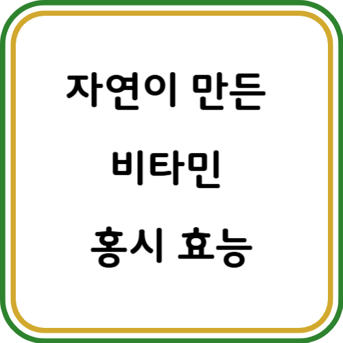 홍시 효능