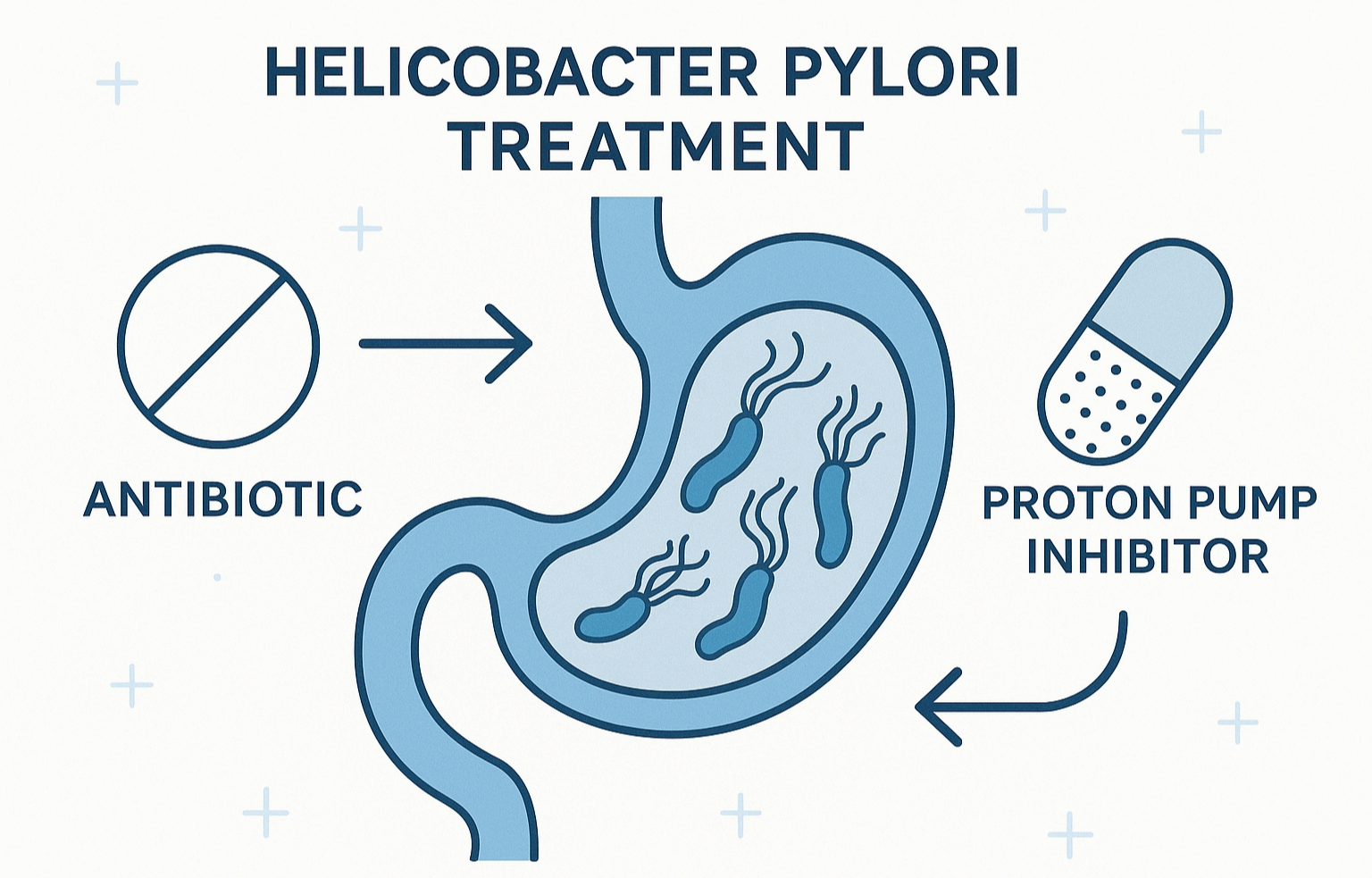 헬리코박터균 완벽 가이드: 감염 증상부터 치료까지 총정리