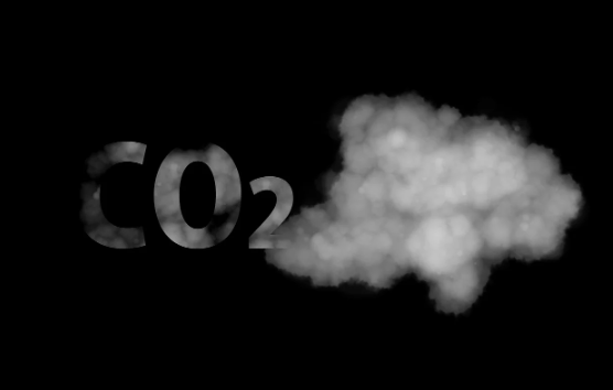 탄소배출권 투자, 미래의 황금알인가. 친환경으로 돈 버는 법