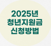 2025년 청년지원금