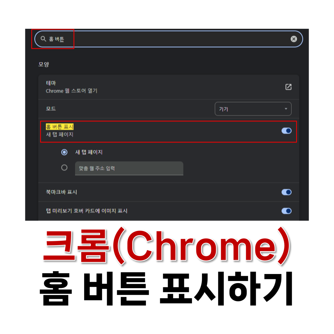 크롬 홈 버튼 표시하기
