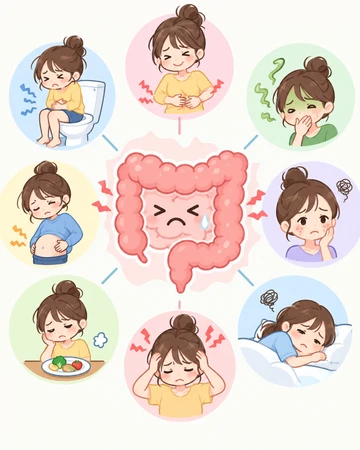 장건강 저하로 나타날 수 있는 신체 변화16