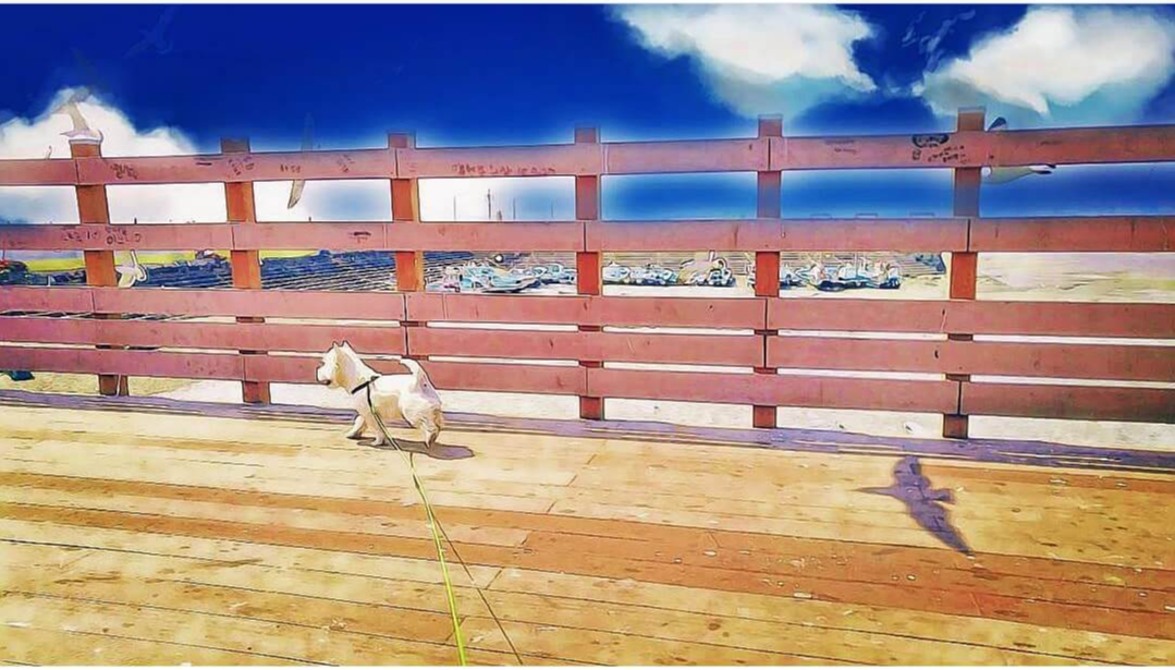 카카오 택배 집에서 보내기