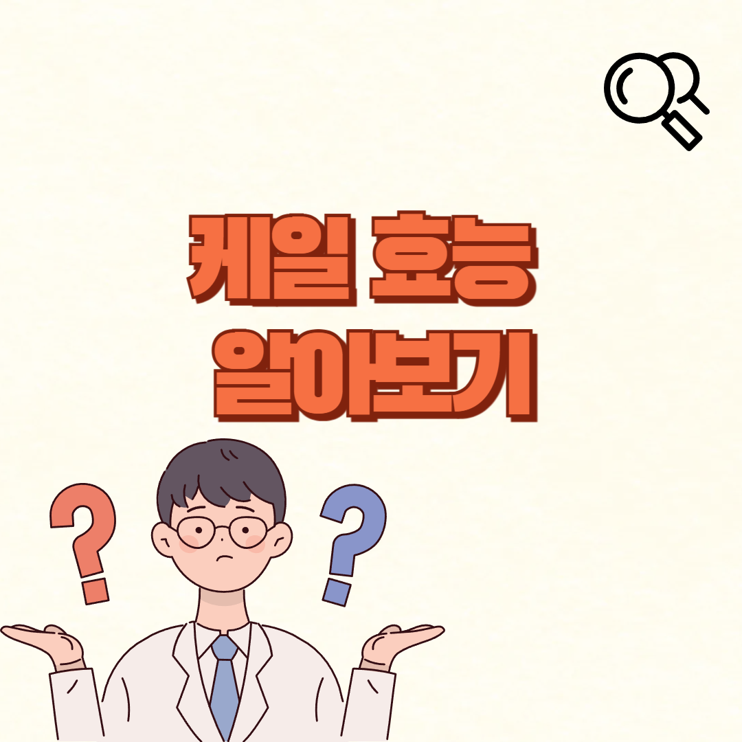 케일 효능✅