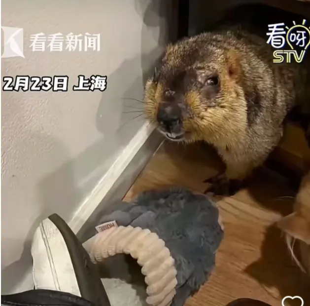 중국어뉴스로 중국어공부