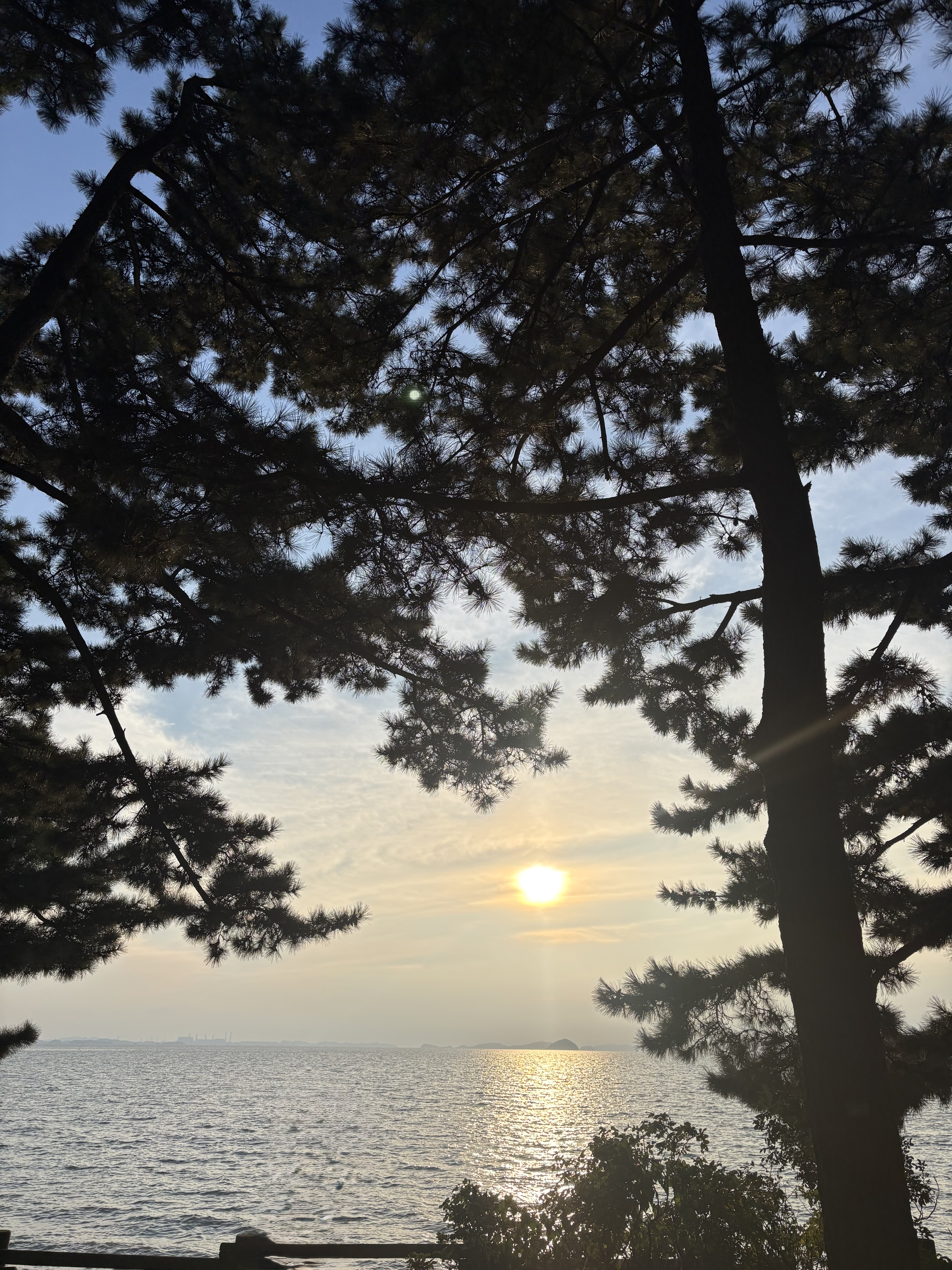 경기도 아이와 가볼 만한 곳|화성 궁평항 황금해안길 다녀온 후기