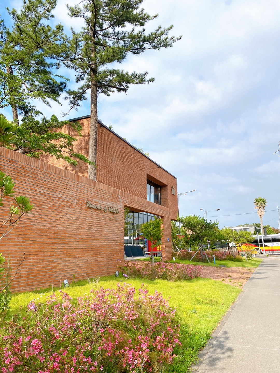 제주 애견 할리스 연북로점