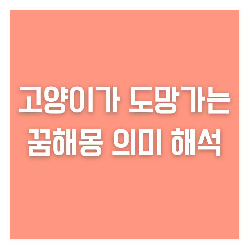 고양이가 도망가는 꿈해몽 의미 해석