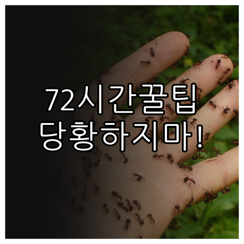 중국 입국 QR 코드 72시간 유효 ..