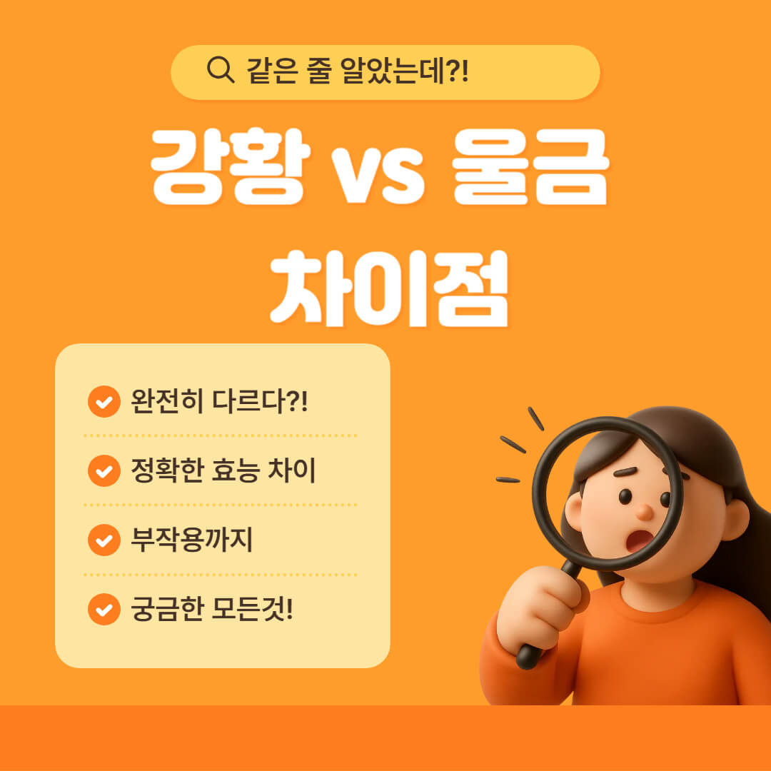 강황과 울금의 차이점을 설명하는 이미지로, 효능 차이와 부작용, 궁금한 정보를 안내하는 일러스트