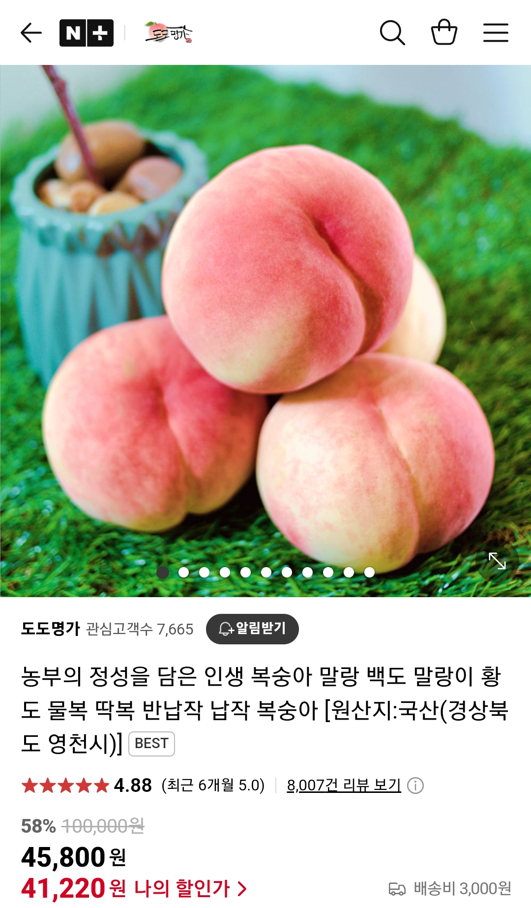 생방송투데이 복숭아