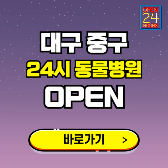 대구 중구 24시 동물병원 진료하는 곳 ❘ 설날 휴일 야간 심야 문여는곳 찾기 ❘ 응급진료