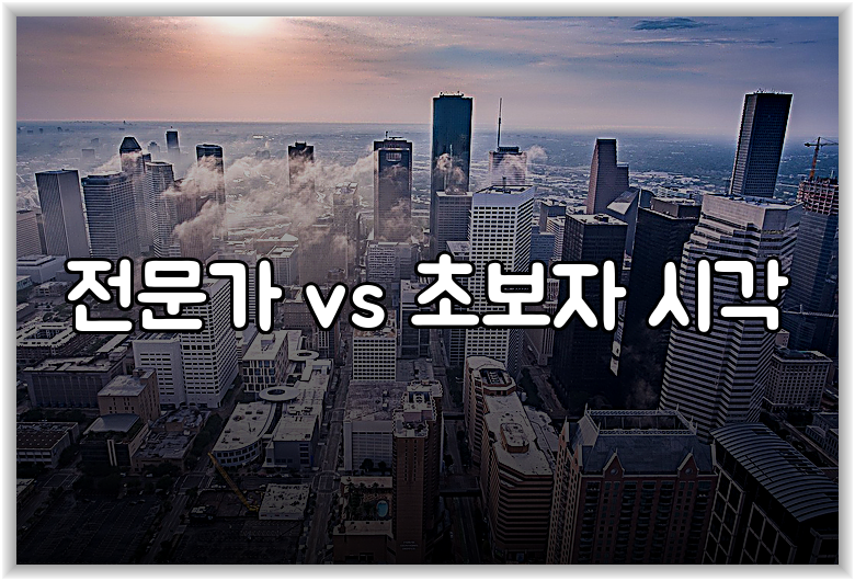 전문가 vs 초보자 시각