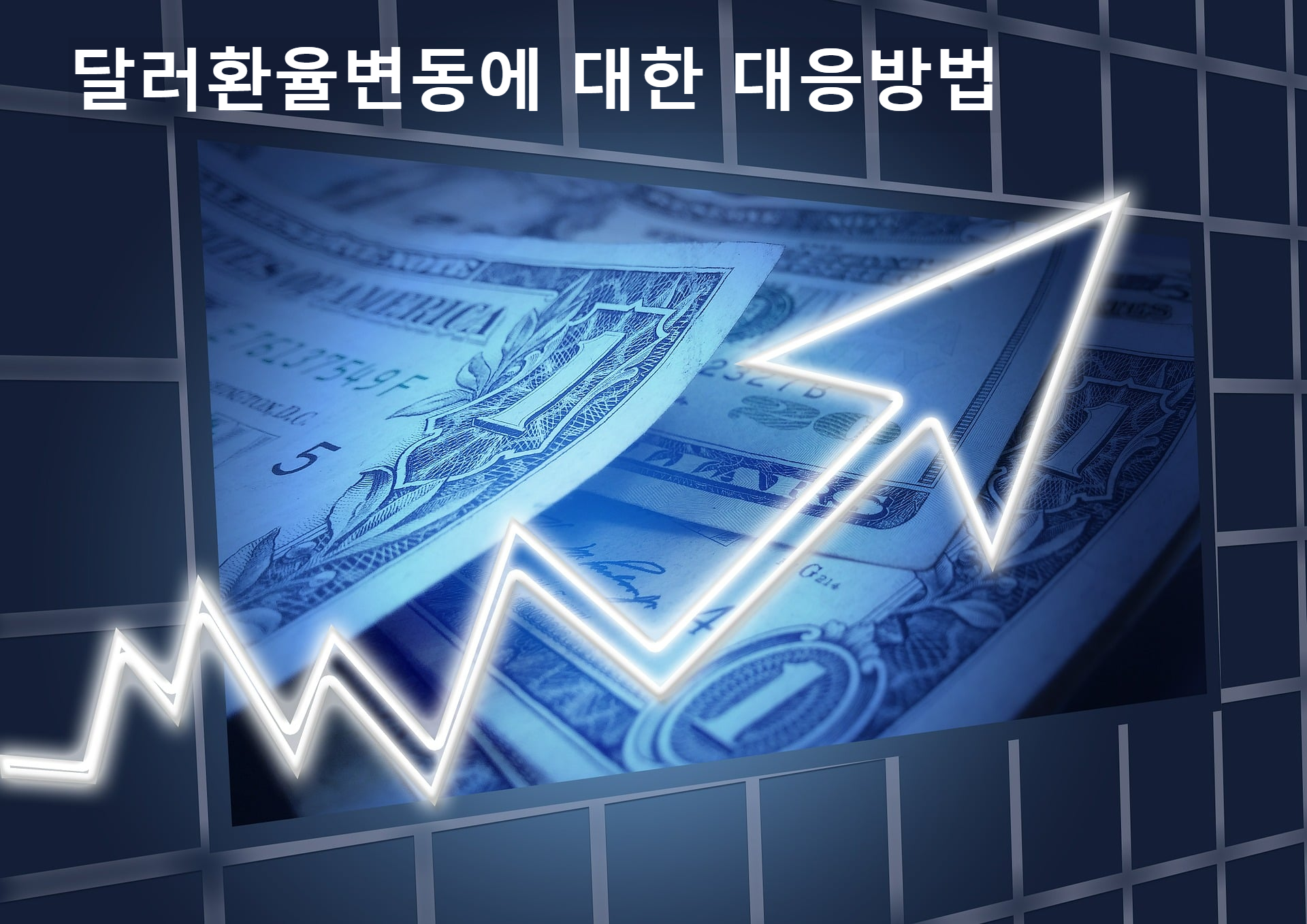 달러환율