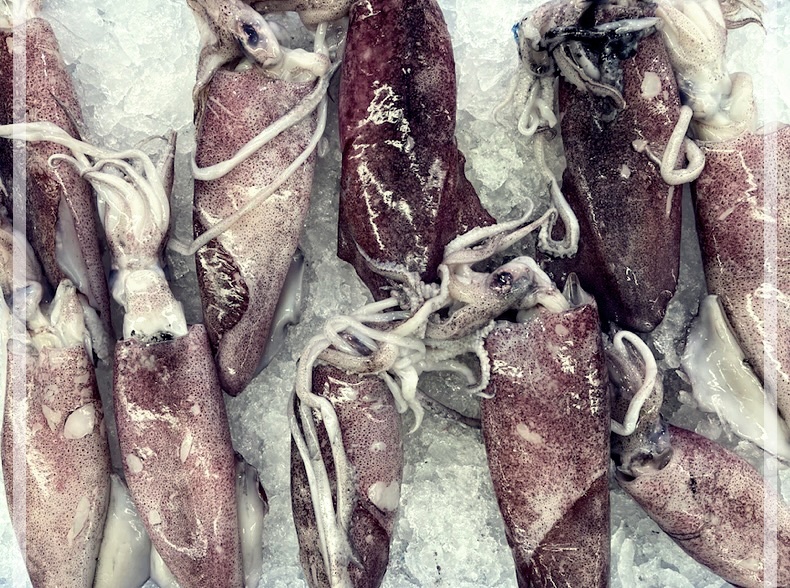 마른 오징어의 효능중에서 Top4.