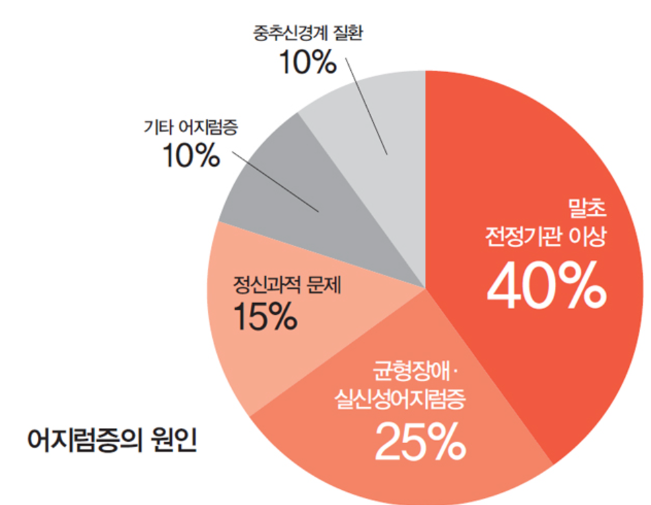 어지럼증 원인