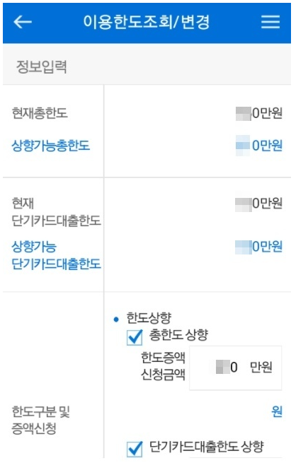 우리카드 대출한도 사진