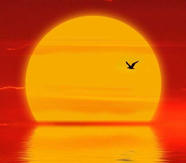 화(火) 태양에너지