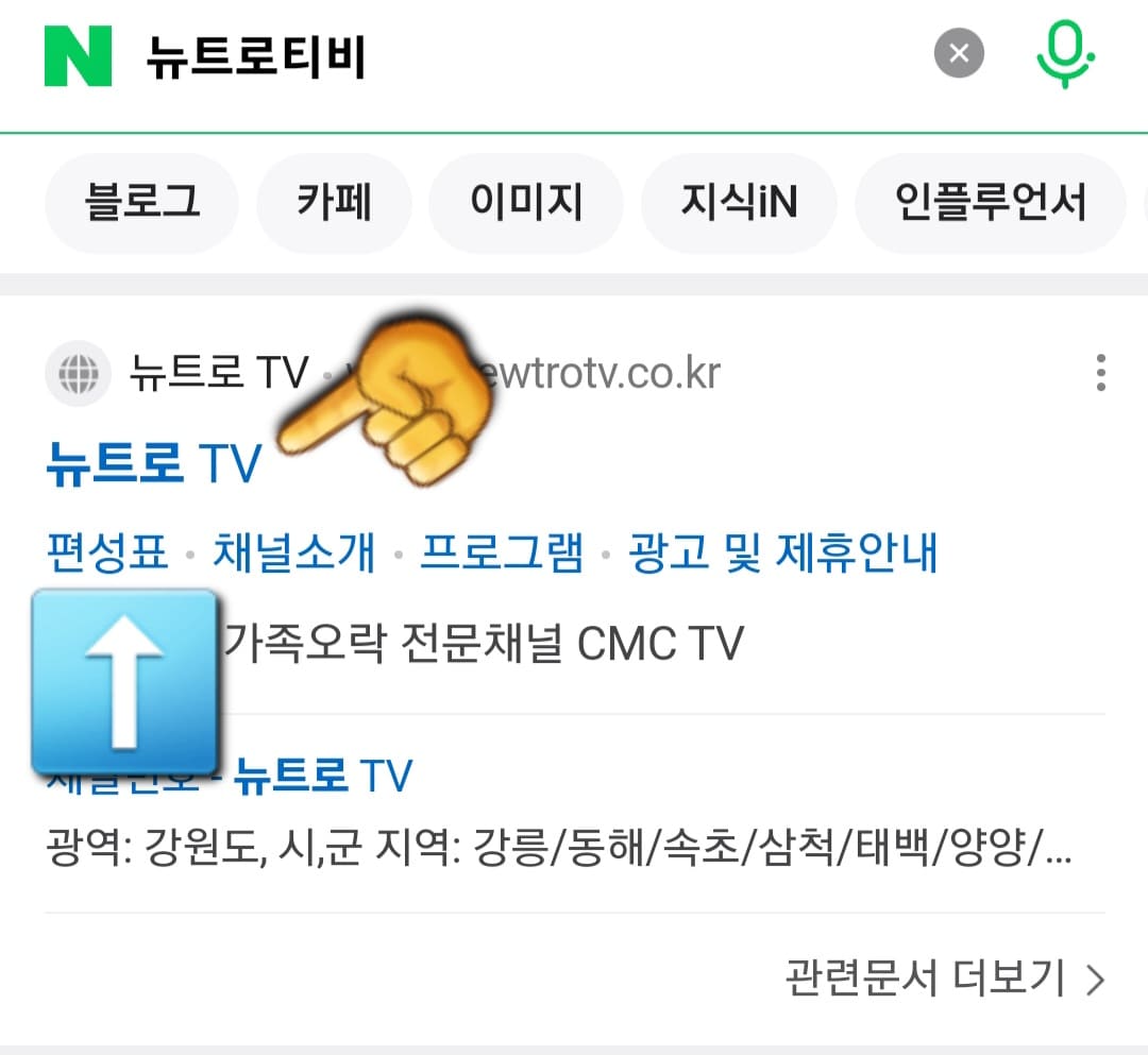 뉴트로-TV-편성표-및-채널번호-확인-방법-안내-그다음,-상단에-나오는-뉴트로-TV-공식-홈페이지-바로-아래에-있는-편성표를-클릭합니다.