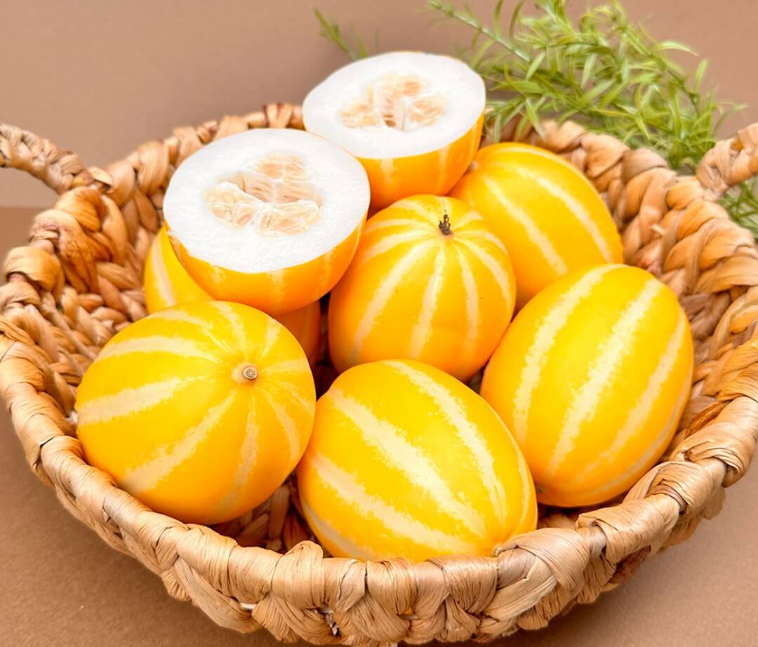 성주 참외 고르는 법을 설명하는 대표 이미지