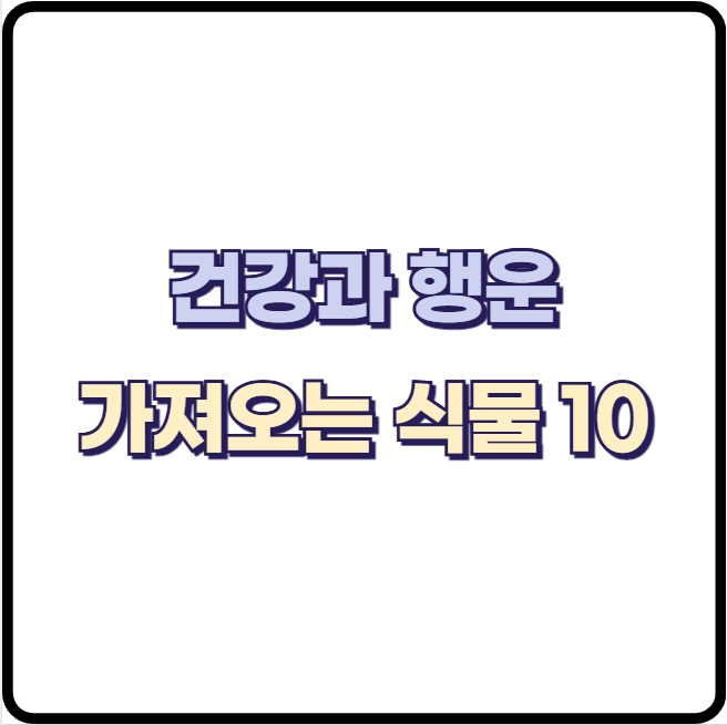 집안에 두면 건강과 행운을 가져온다는 식물 TOP 10