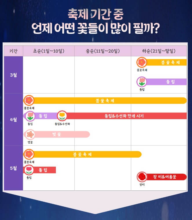 2025 피나클랜드 불꽃축제, 피나클랜드 여름정원 불꽃축제!!! 여름꽃과 빛이 어우러진 낭만의 밤
