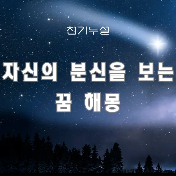 자신의 분신을 보는 꿈 해몽