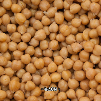 철분 많은 음식