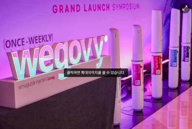 위고비 처방 과열