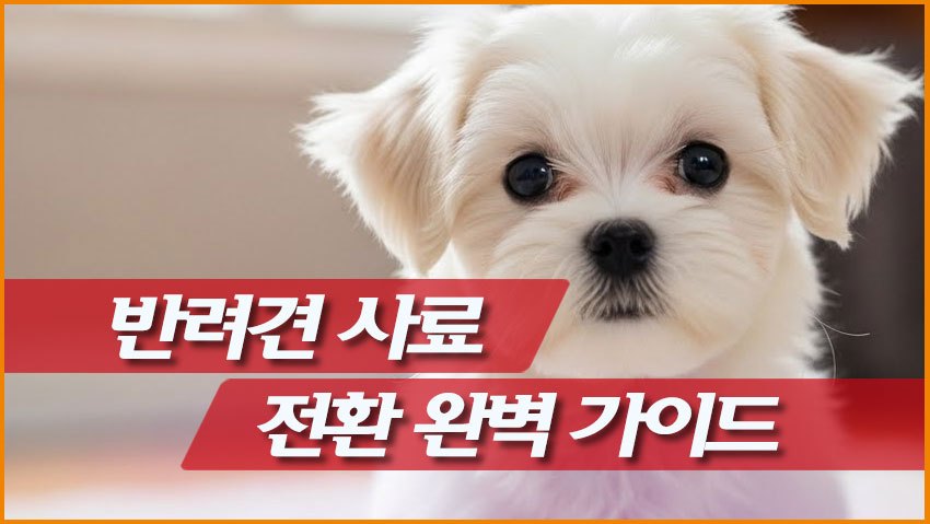 반려견 사료 전환 완벽 가이드