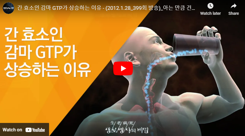 감마지티피 상승 이유