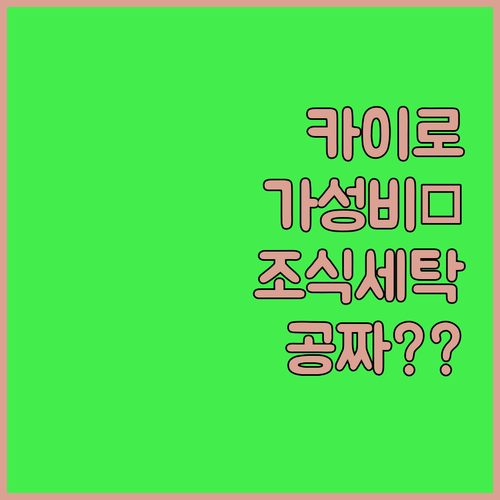 카이로 여행 가성비 숙소 베스트 5 ..