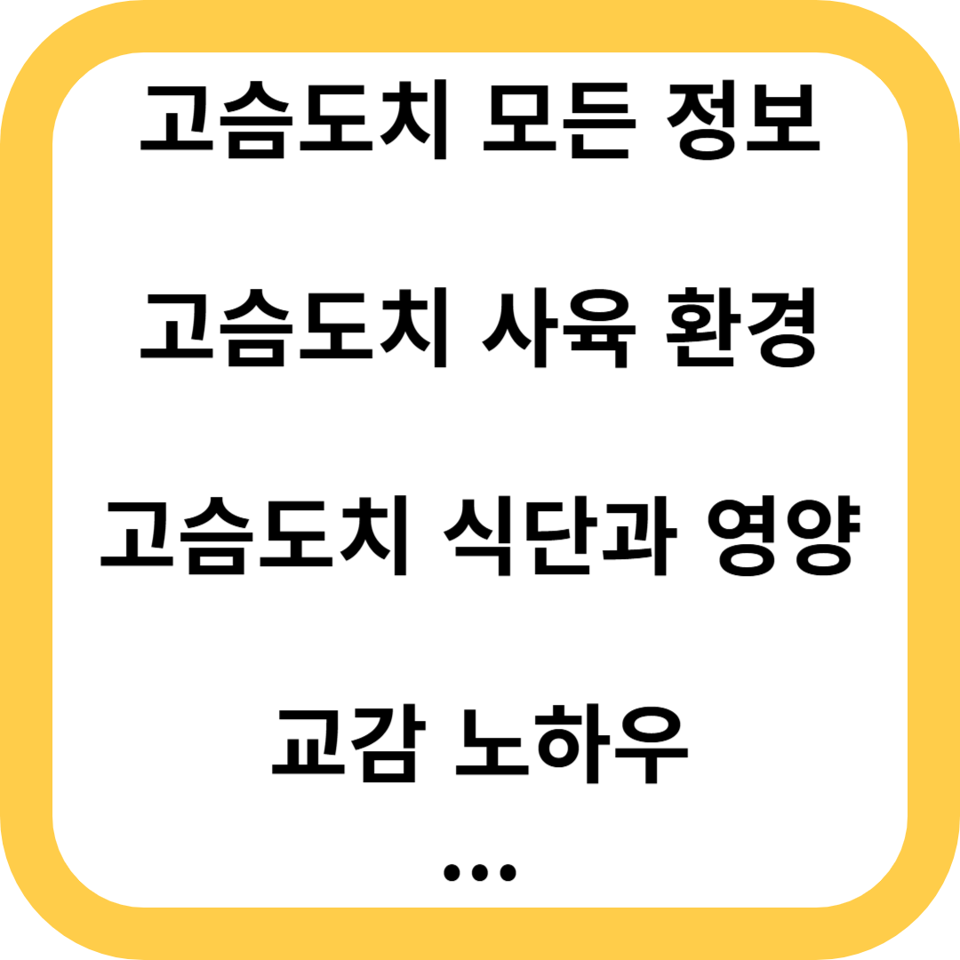고슴도치