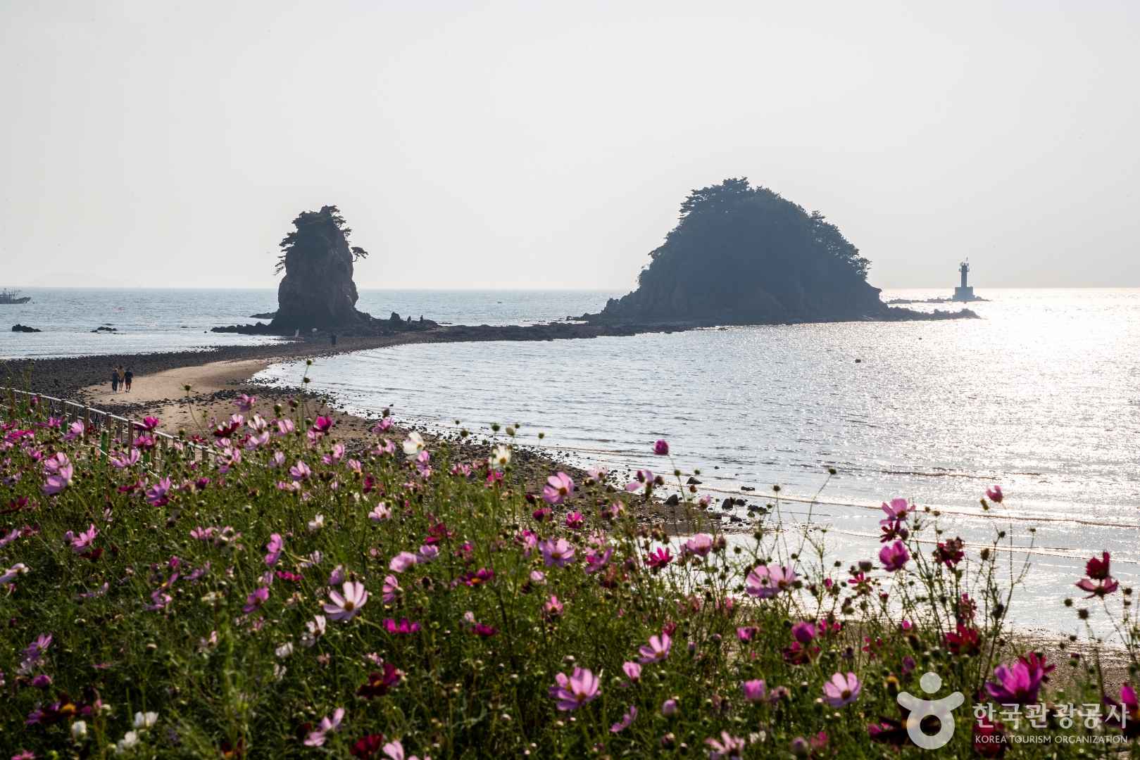 꽃지해수욕장