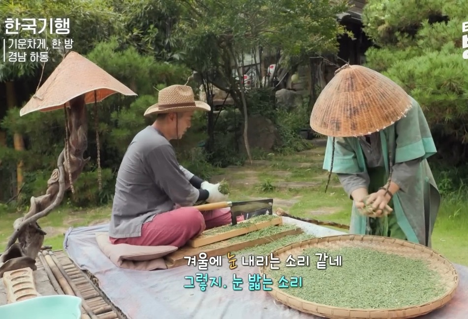 동네한바퀴-하동-오죽차-오죽헌-주해수-대나무잎차-택배