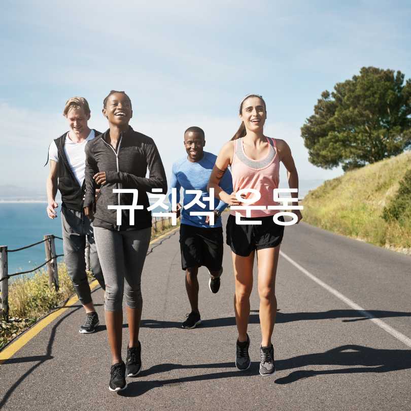 갱년기여성필수영양제