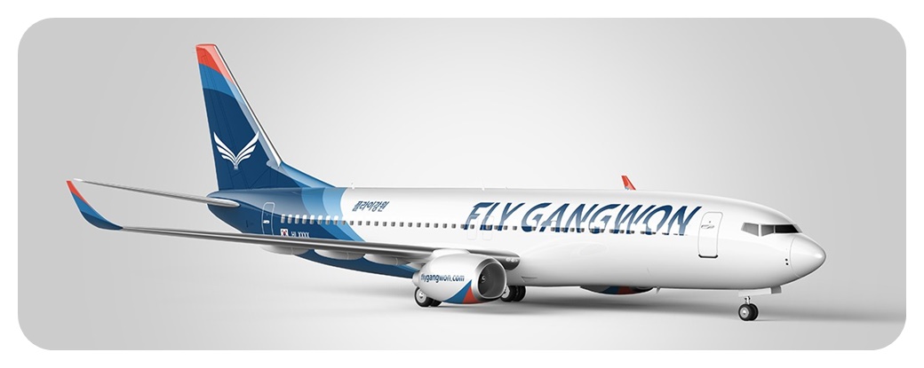 티웨이항공 보잉 B737-800 여객기가 착륙해 있는 모습을 찍은 사진