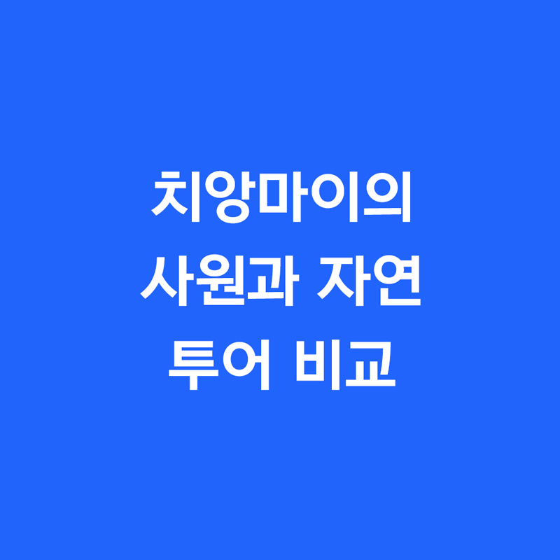 치앙마이의 사원과 자연 투어 비교