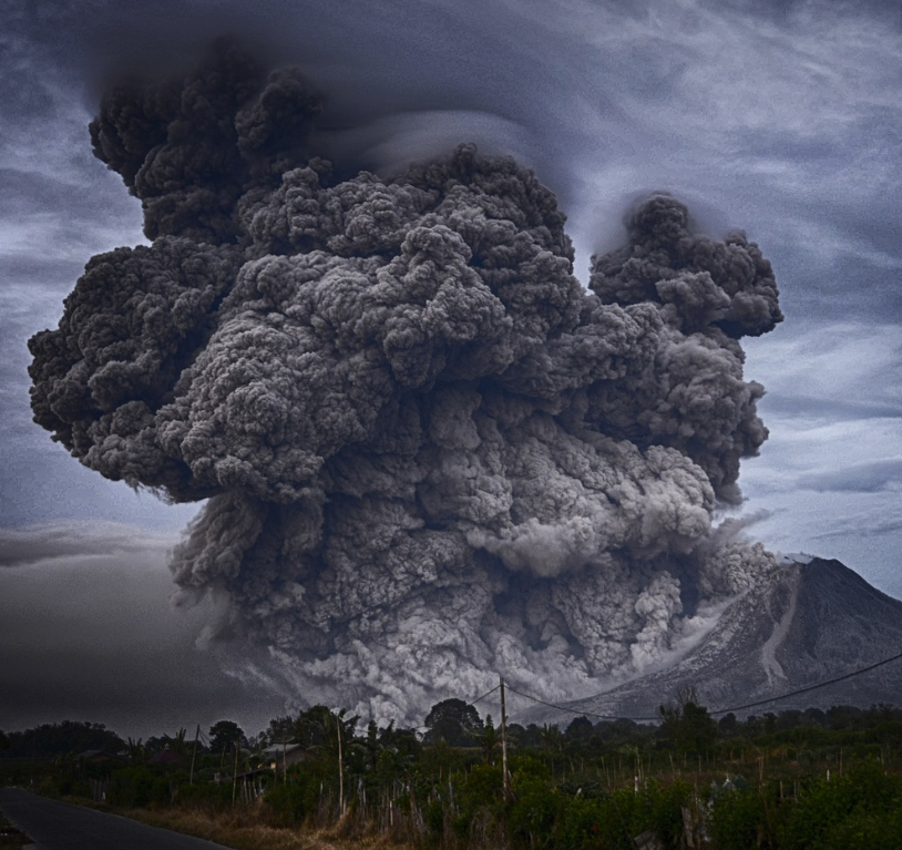 일상생활 배상책임보험