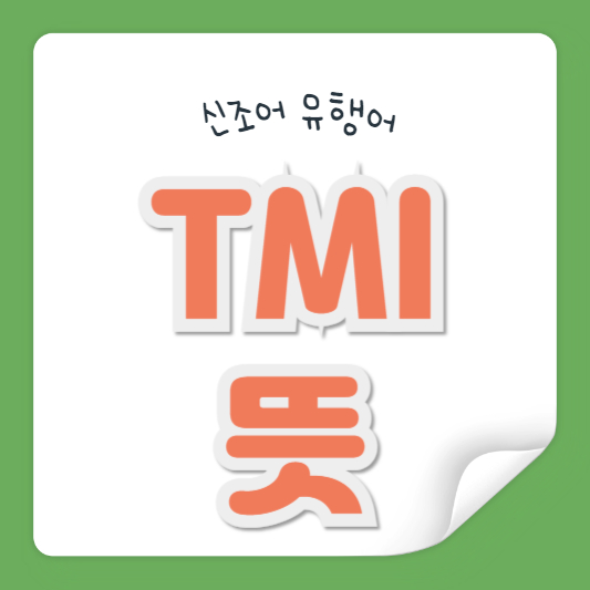TMI 뜻