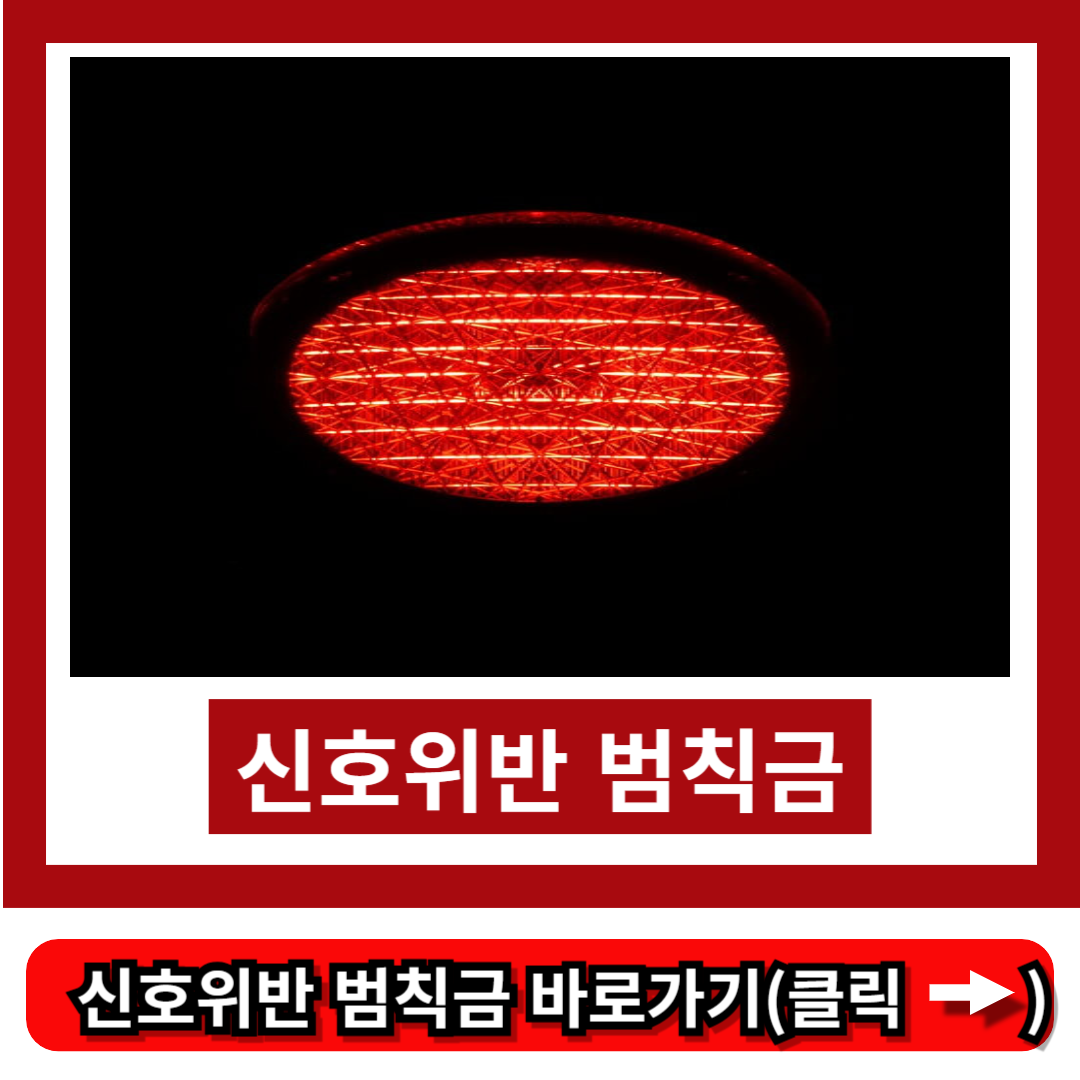 신호위반 범칙금