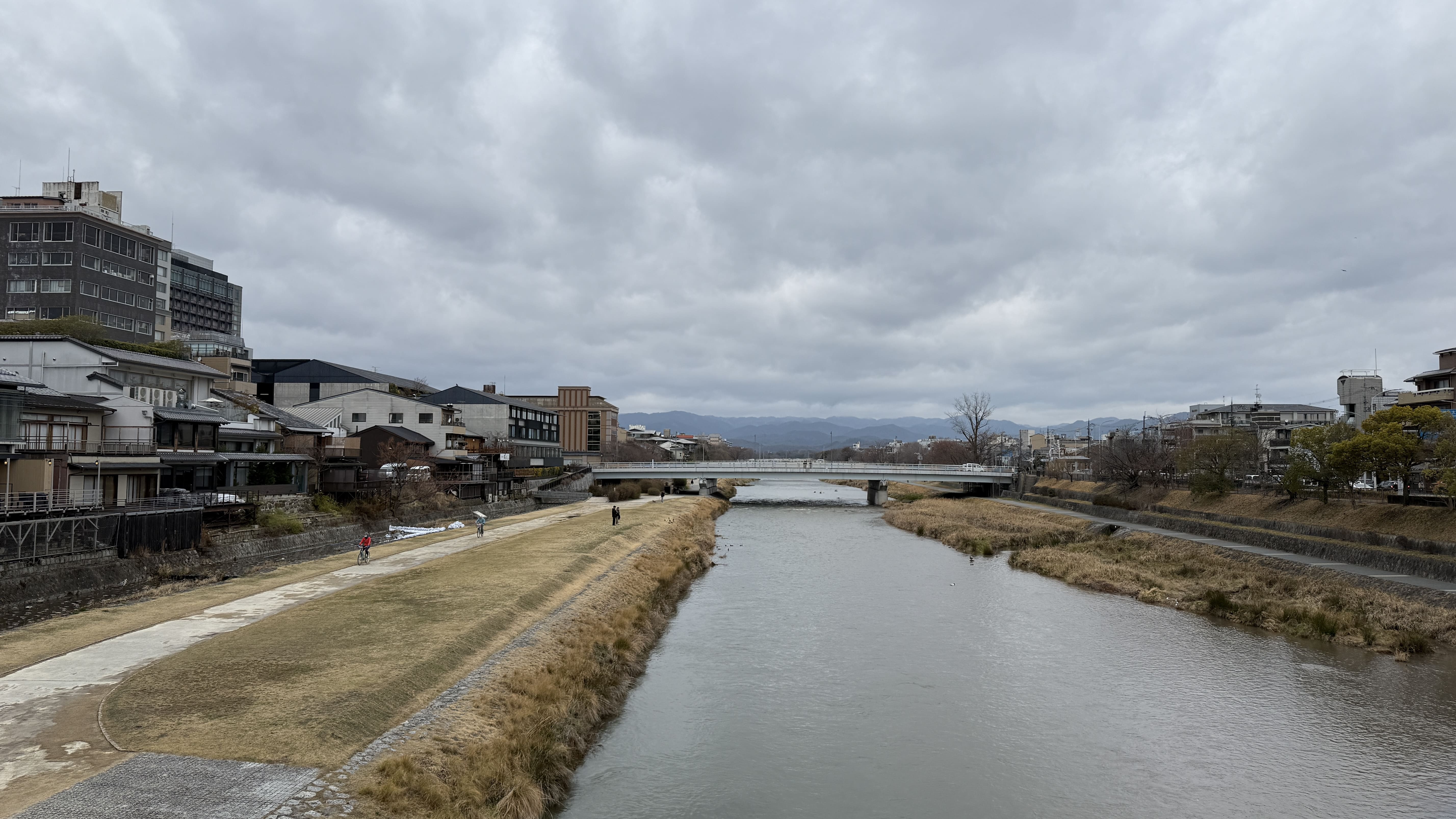 교토 봄여행 일본 스타벅스 가모강