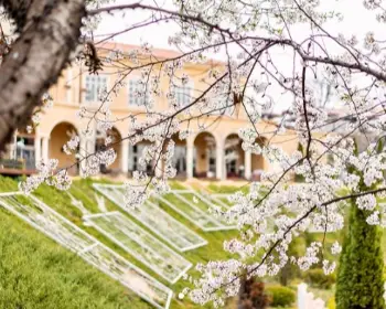 퍼스트가든 봄꽃축제 블루밍가든_2