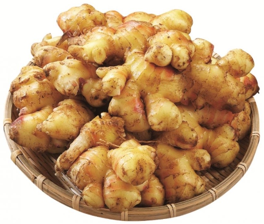 한국의 떡 종류 생강떡-생강